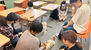 犬と触れ合う生徒の写真